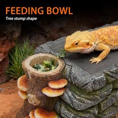 3-in-1 Reptile Basking Platform, Hideout Cave & Food Bowl for Bearded Dragons,