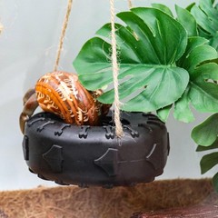 3.7 Inch Hermit Crab Tire Swing Toy Climbing Reptile Tank Decoration Decor