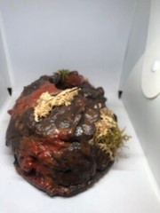 Reptile Medium Desert Magnetic Hides For Terrariums And Cages