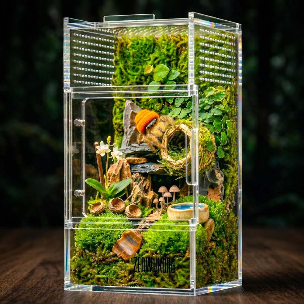 Jumping Spider Enclosure – Acrylic Terrarium Habitat for Spiders, Tarantulas, Sn