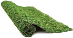 pet supplies plus Substrate Realistic Mossy reptile carpet