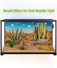 3 Pcs Reptile Background for Terrarium 40 Gallon, Bearded Dragon Tank Background