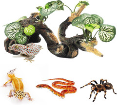 Branches for Reptiles,Crested Gecko Resin Climbing Tree Branch with Hideout Cave