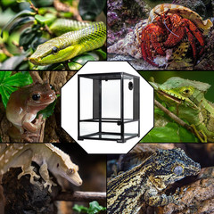 30 Gallon Reptile Glass Terrarium, 18″ X 18″ X 24″ Rainforest Habitat Tank with