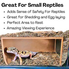 Reptile Corner Underground Cave Viewing Hide | Hognose Snake, Corn Brown