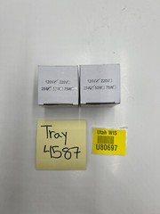 (QTY 2) Light Bulbs 120V, 25W Clear/Silver