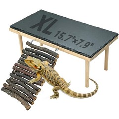 Bearded Dragon Basking Rock Platform with Climbing Ramp Reptiles Hideout Hide…