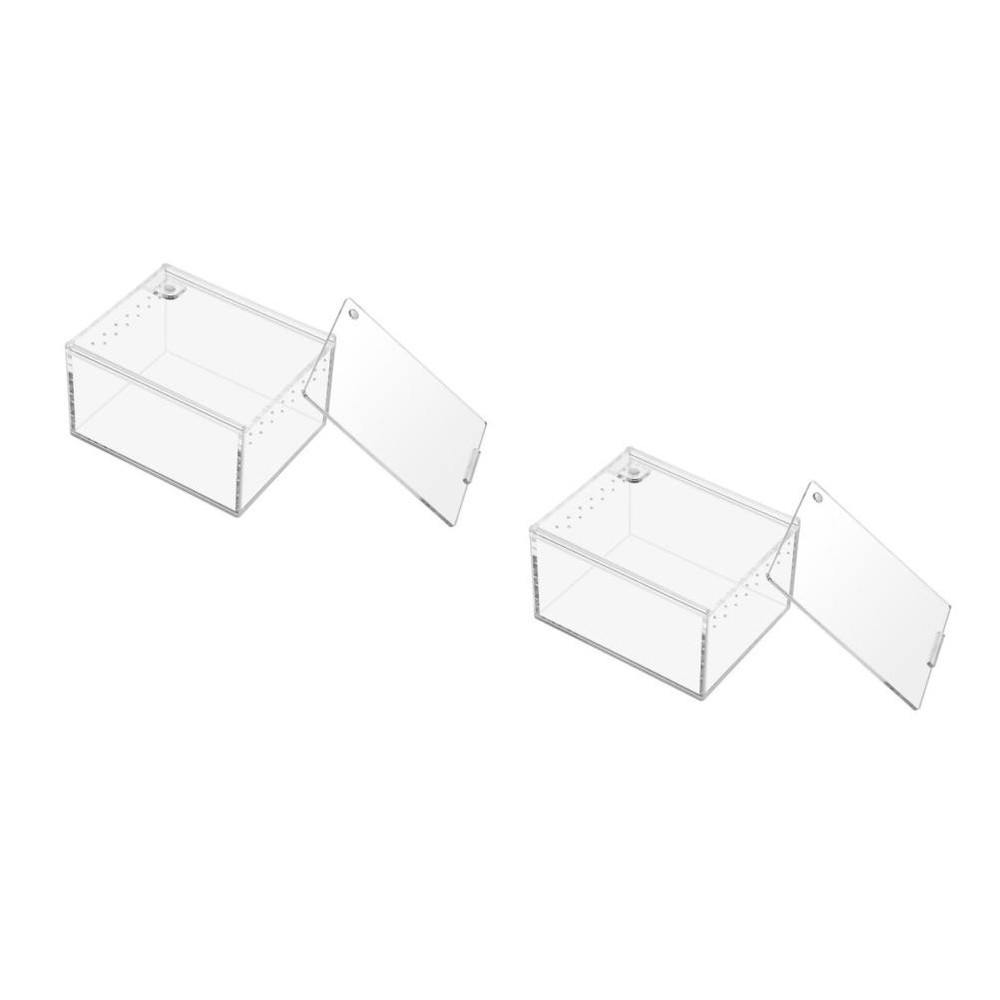 Set of 2 Lizard Terrarium Reptile Tarantula Enclosure Scorpion Habitat