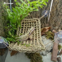 Adjustable Bearded Dragon Hammock 16” x 8” – Perfect for Climbing Reptiles