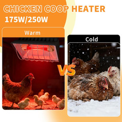 2 Pack 250W Infrared Heat Lamp for Poultry, Chicks & Small Pets