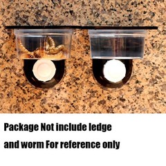 YOGURTCK 100pcs Crested Gecko Feeding Cups Reptile Feeder Bowls for Clear