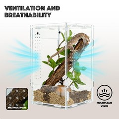 Acrylic Reptile Tank 5x5x8 – Terrarium for Crested Gecko, Lizards, Snakes & Spid