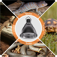 Reptile Light Fixture,7Inch Deep Dome Reptile Light Fixture with 3/6/12 Timer,In
