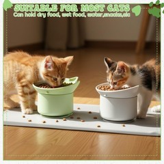 2 Pack Slow Feeder Cat Bowls Silicone Tilted Raised Pet Bowl with Non Slip Ba…
