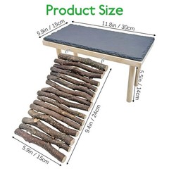 BNOSDM Bearded Dragon Basking Rock Platform with Climbing Ramp Reptiles Hideo…