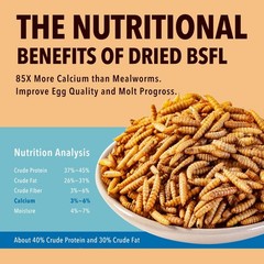 11LB Dried Black Soldier Fly Larvae,Chicken Feed More 11 Pound (Pack of 1)