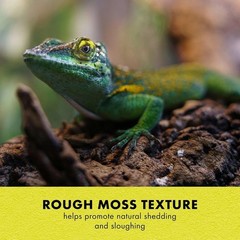 Large Rock Lair Hide: Aids Shedding, Retains Humidity, Natural