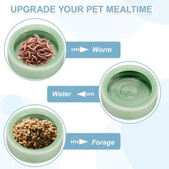 Reptile Food Bowl Worm Water Dish Ceramic Pet Bowl Small 2″ Plum Green