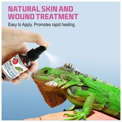 Reptile Wound Spray with Chelated Silver – Reptile Wound Care for Snakes, Liz…
