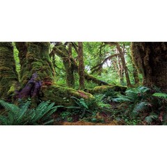 AWERT 24×12 inches Tropical Forest Terrarium Background Green Huge Tree Repti…