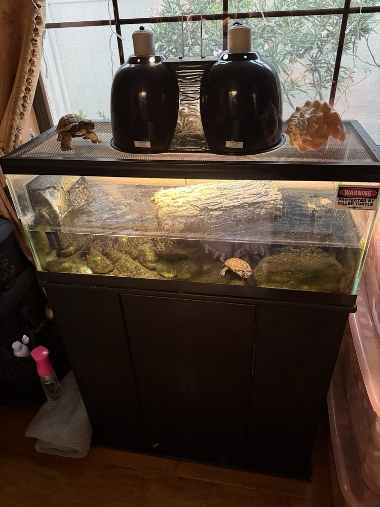 20 Gallon Long Zilla Turtle Tank with Filter