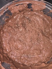 8 Oz Clay Temperate Springtail Culture