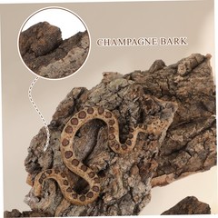 4pcs Cork Bark Reptile Decor Natural Tree Bark Climbing Platforms Reptiles Te…