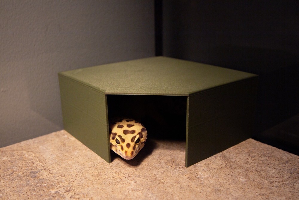 Corner Hide for Leopard Geckos and Other Reptiles (Multiple Colors Available)