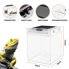 Reptileg Growth Reptile PC Terrarium, 8”x 8”x 11” with Top Sliding Door Sc…