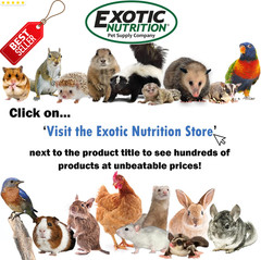 Plastic Reptile Breeder Box Ventilated Habitat Terrarium for Insects Medium – US