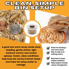 TC INSECTS Live Wax Worms Feeder Insects for Reptiles Amphibians Birds & More