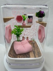 Jumping Spider Terrarium – Customizable Pink Paradise Enclosure