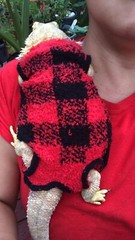 SOFT SNUG PLAID PRINTS #1 XLRG SLEEVELESS BODY SHIRT 4 UNISEX BEARDED DRAGON