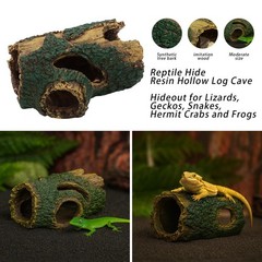 13 PCS Reptile Reptile Eco Bottle Decoration Set – vines, eco bottle plants, …