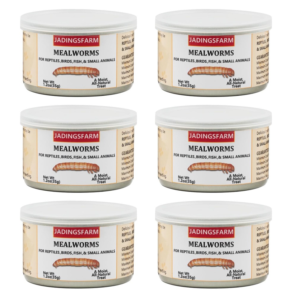 JADINGSFARM 6 Pack Canned Mealworms for Reptiles, Fish, 7.2 Ounce (Pack of 1)