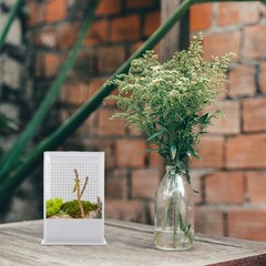 1Pcs Durable Acrylic Mantis Breeding Box Small Insect Observation Container