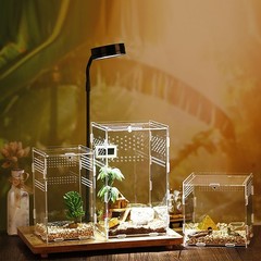 Mini Acrylic Reptile Terrarium 4.7×4.7×8 Inch Tarantula Amphibians Habitat