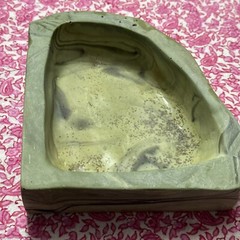 Deep Water Dish Reptile Feeder Terrarium Watering Bowl Kritterz Alabaster 5 X 2”