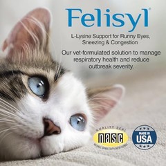 Felisyl L-Lysine Gel for Cats & Kittens (5oz) – Immune System, 1 Pack, Paste