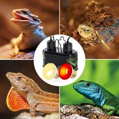 Nano Dual Dome Reptile Light Fixture and 25W Reptile Heat Lamp Combo Pack, Mi…