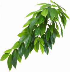 Reptile Terrarium Hanging Plant, Fake Plants for Reptile Enclosure, Ideal for Ch