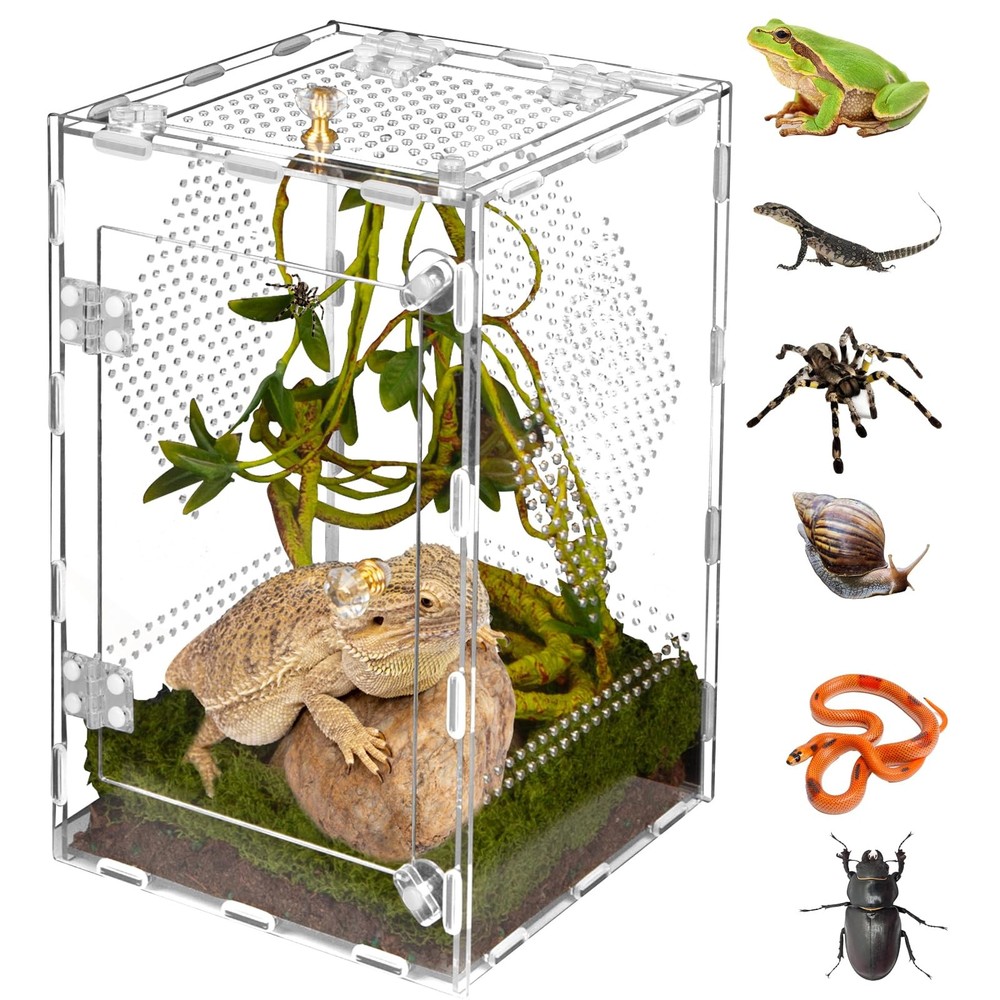 Acrylic Reptile Terrarium Easy Assembly Clear Secure 11.8×7.9×7.9 Inch Tank
