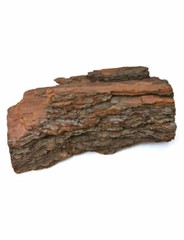 T-Rex Reptile Terrarium Décor – Terra Accents Bark Log