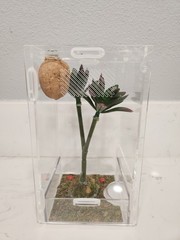Zilla Micro Habitat Terrarium, Arboreal, with Locking Latch