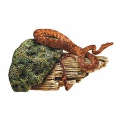 Zilla Broken Branch. Reptile Decor. Dim: 9.45″L x 4.92″W x 4.92″H