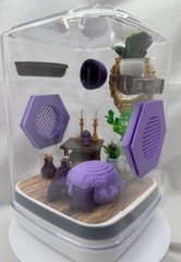 Elegant Jumping Spider Terrarium: Custom 3D Printed Habitat for Arachnids