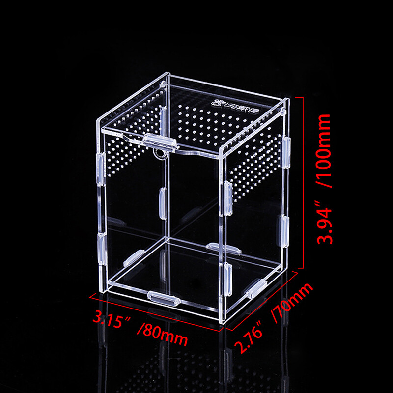 Clear Reptile Feeding Insect Box Acrylic Container Lizards Spider Breeding Case