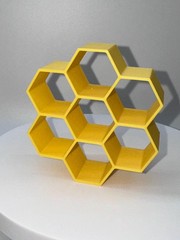 Colorful Honeycomb Hide for Jumping Spider Enclosure – 3D Printed Decor Custom