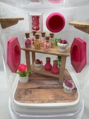Candy Shop Jumping Spider Enclosure – Colorful Terrarium Home for Jumping Spider