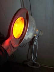 250W Heating Lamp Bulb w Aluminium 10INCH CLAMP Reflector FOR CHICKEN PIGS&MORE